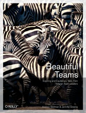 Book cover of Beautiful Teams
