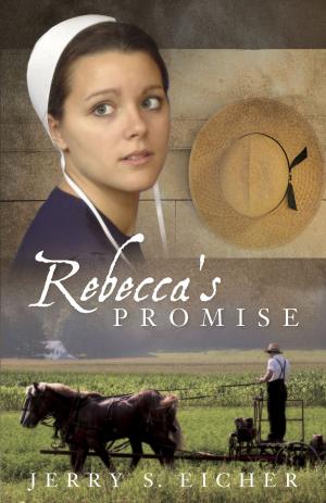 Cover of the book Rebecca's Promise by Terry Glaspey