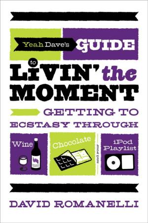 bigCover of the book Yeah Dave's Guide to Livin' the Moment by 