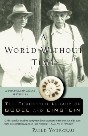 Cover of the book A World Without Time by Barbara Sjoholm
