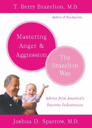 Cover of the book Mastering Anger and Aggression - The Brazelton Way by Brendan Brazier