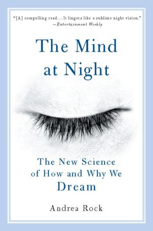 Cover of the book The Mind at Night by David Berlinski