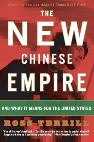 Cover of the book The New Chinese Empire by William H Calvin
