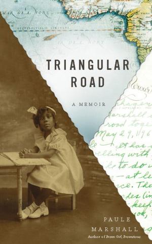 Cover of the book Triangular Road by Lathan A. Crandall, Louis Rhead