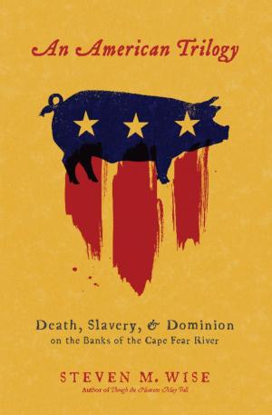 Cover of the book An American Trilogy by Stephen Harding