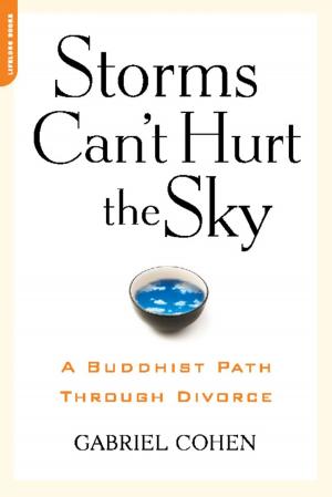 Cover of the book The Storms Can't Hurt the Sky by Ronna Lichtenberg