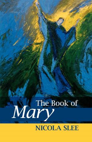 bigCover of the book The Book of Mary by 