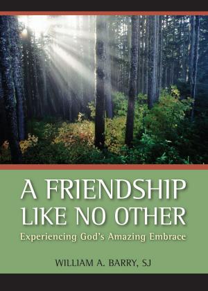 Cover of the book A Friendship Like No Other by William A. Barry SJ