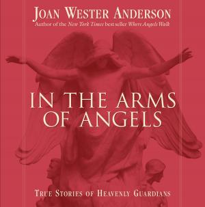 Cover of the book In The Arms Of Angels by Joe Paprocki, DMin
