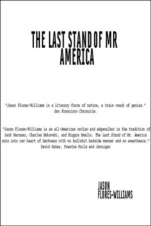 Cover of The Last Stand of Mr America