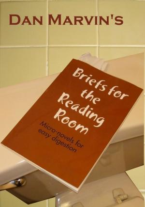 Book cover of Briefs for the Reading Room