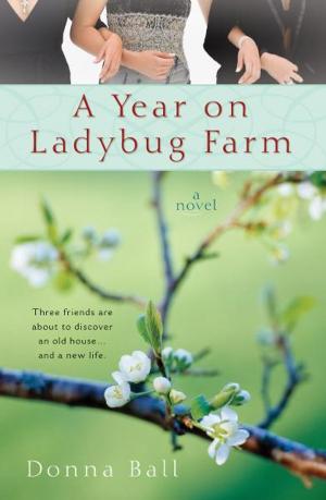 Cover of the book A Year on Ladybug Farm by Naomi Stadlen