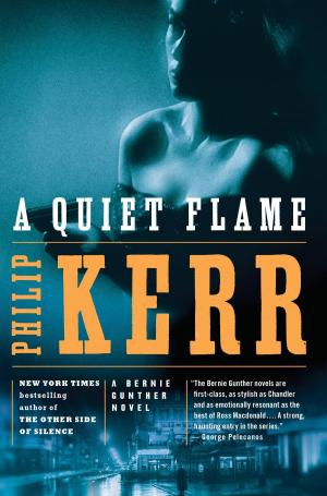 Cover of the book A Quiet Flame by M. Ruth Myers