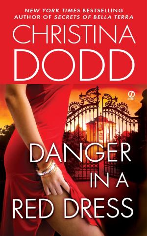 Cover of the book Danger in a Red Dress by Jim O'neill