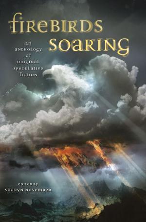 Book cover of Firebirds Soaring
