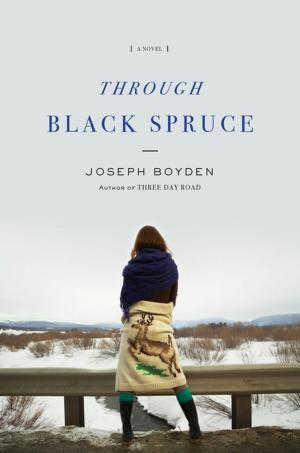 Cover of the book Through Black Spruce by Carol Berg