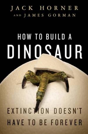 Cover of the book How to Build a Dinosaur by John Sandford