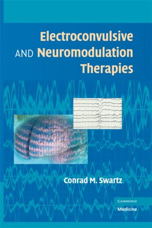 bigCover of the book Electroconvulsive and Neuromodulation Therapies by 