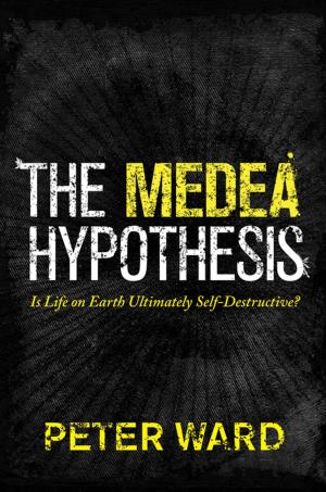 Cover of the book The Medea Hypothesis by Frank Schorfheide, Edward P. Herbst