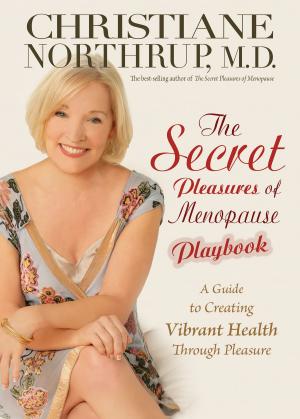 bigCover of the book The Secret Pleasures of Menopause Playbook by 