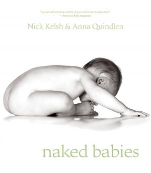 Cover of the book Naked Babies by Terry Lamb