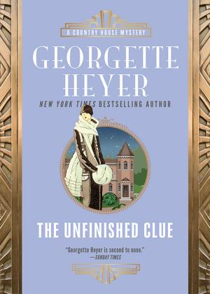 Cover of the book The Unfinished Clue by Amelia Grey