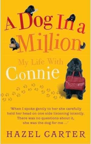 Cover of the book A Dog in a Million by Trinity R. Westfield