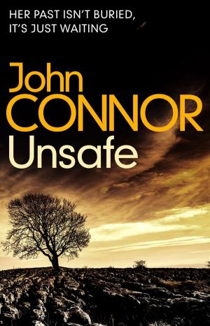 Cover of the book Unsafe by Brett Halliday