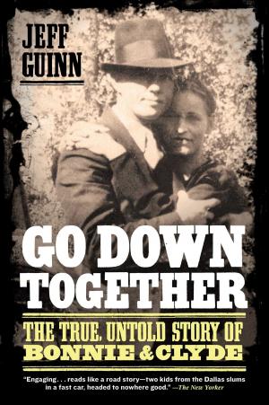 Cover of the book Go Down Together by Brian DeLeeuw
