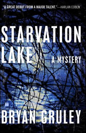 Cover of the book Starvation Lake by J. J. Abrams, Paul Ruditis