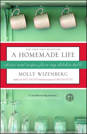 Cover of the book A Homemade Life by Michael Benson