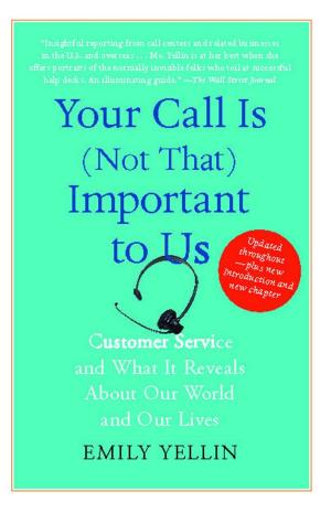 Cover of the book Your Call Is (Not That) Important to Us by Raymond Arsenault