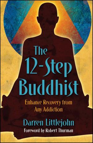 Book cover of The 12-Step Buddhist