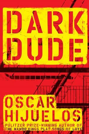 Cover of the book Dark Dude by Judi Barrett