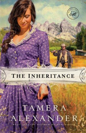 Cover of the book The Inheritance by Margaux Sky