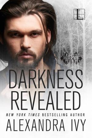 Cover of the book Darkness Revealed by Amy Lillard