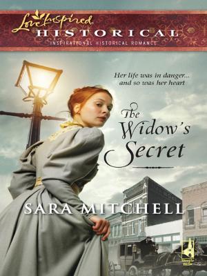 Book cover of The Widow's Secret