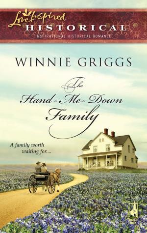 Cover of the book The Hand-Me-Down Family by Liz Johnson