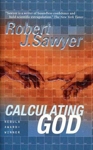 Cover of the book Calculating God by Steven Brust