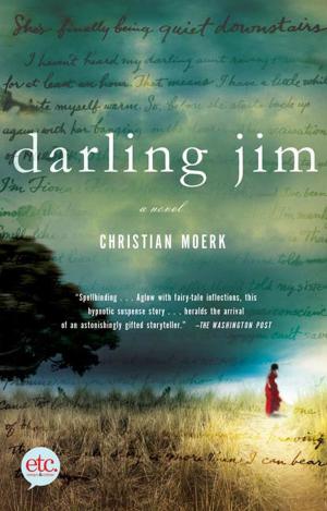 Cover of the book Darling Jim by Nuala O'Faolain