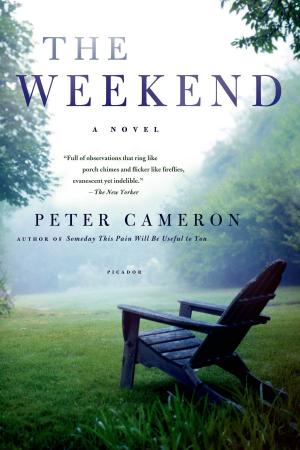 Cover of the book The Weekend by Carlos Fuentes