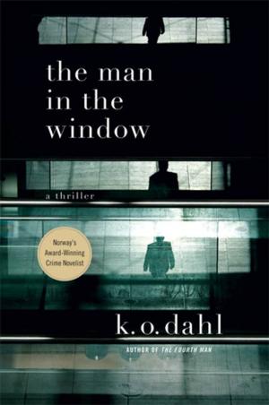 Cover of the book The Man in the Window by Martin Österdahl