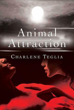 Book cover of Animal Attraction