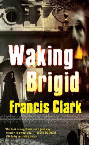 Cover of the book Waking Brigid by Joan D. Vinge