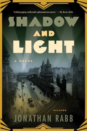 Cover of the book Shadow and Light by William Langewiesche