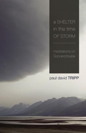 Cover of the book A Shelter in the Time of Storm by Sam Storms