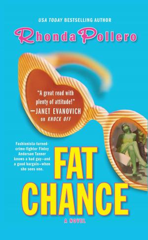 Cover of the book Fat Chance by Susan Wright