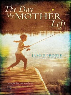 Cover of the book The Day My Mother Left by Jeyn Roberts