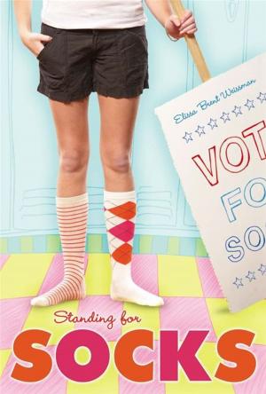 Cover of the book Standing for Socks by E.L. Konigsburg