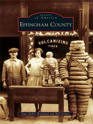 Cover of the book Effingham County by Jim Peterson, Donna Peterson